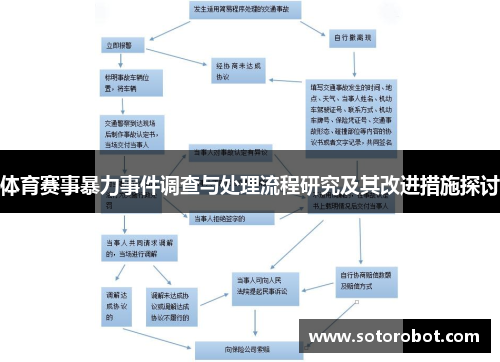 体育赛事暴力事件调查与处理流程研究及其改进措施探讨